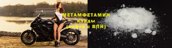сатива Нефтекумск