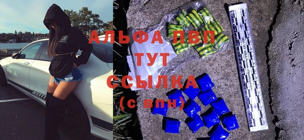 сатива Нефтекумск