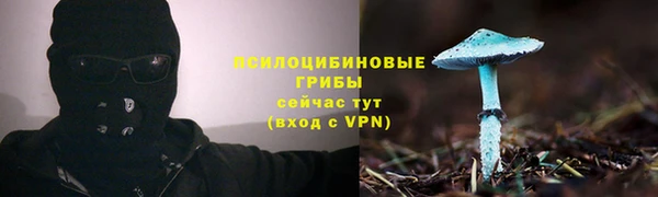 экстази Нея