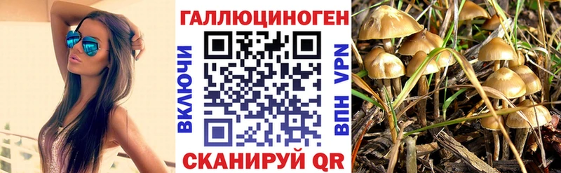 Галлюциногенные грибы MAGIC MUSHROOMS  Темников 